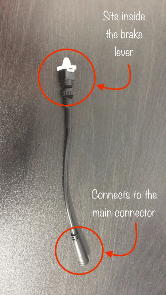 1e9b8e3c-d7cb-4c99-9019-fbdc82866683